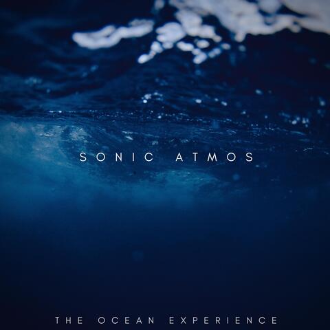 The Ocean Experience
