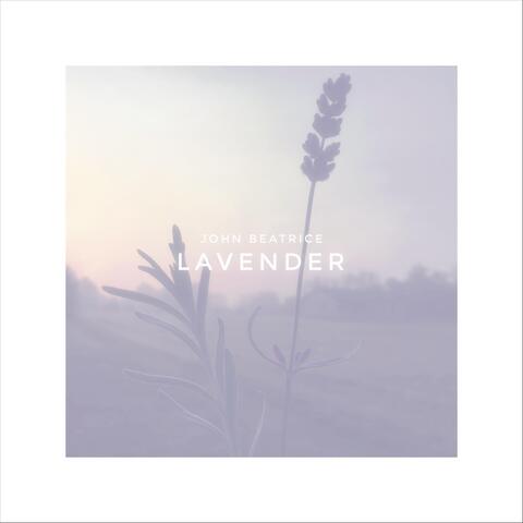 Lavender (Demo)