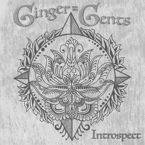 Introspect
