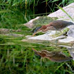 Father and Son Mock Fishing at Duck Creek