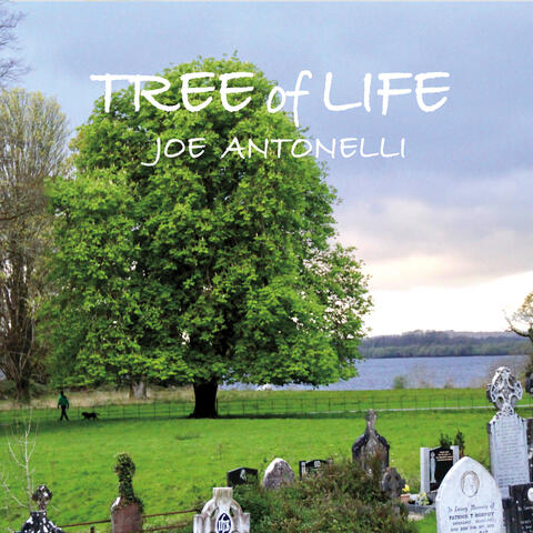 Tree of Life