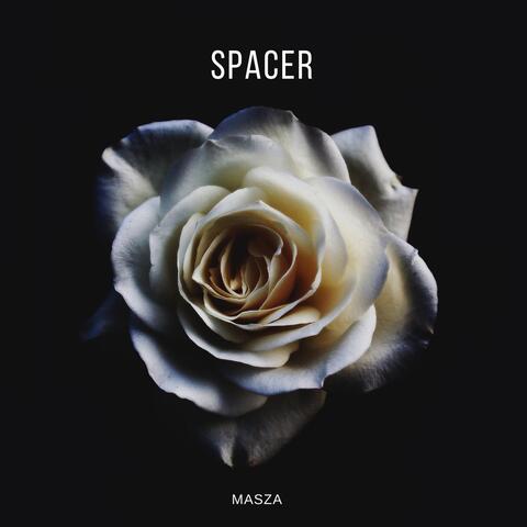 Spacer