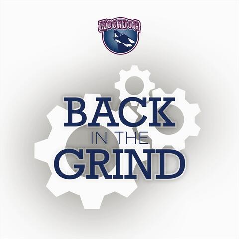 Back in the Grind