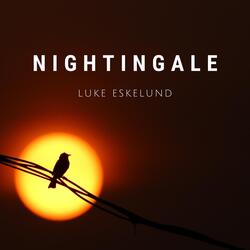 Nightingale