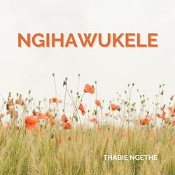 Ngihawukele