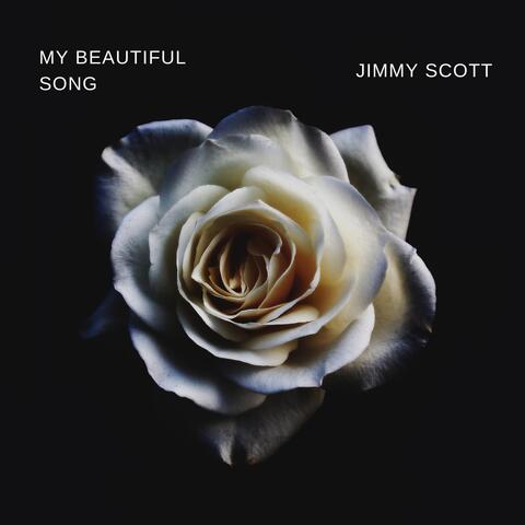 My Beautiful Song