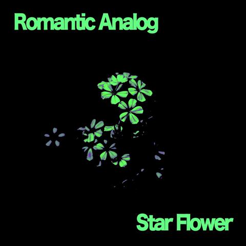 Star Flower