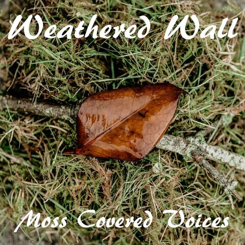 Moss Covered Voices