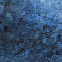 Auriga