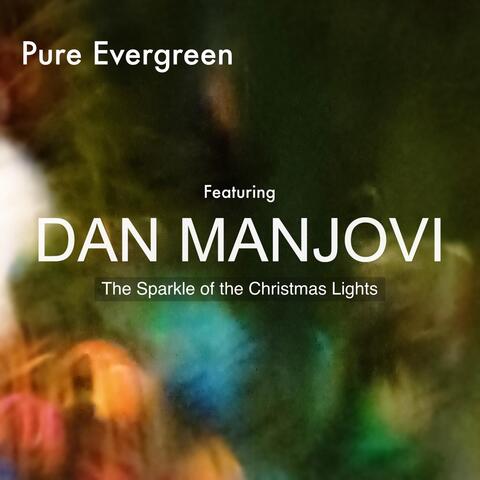 The Sparkle of the Christmas Lights (feat. Dan Manjovi)