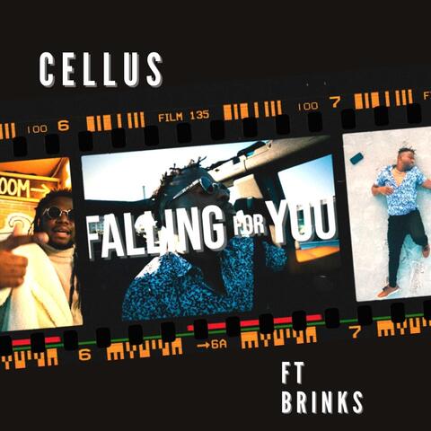 Falling for You (feat. Brinks)