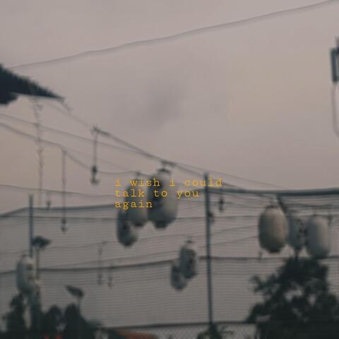 I Wish I Could Talk to You Again