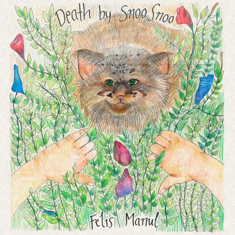 Felis Manul