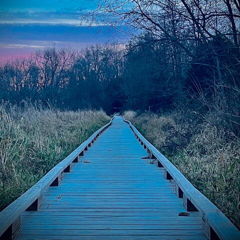 The Process of Letting Go