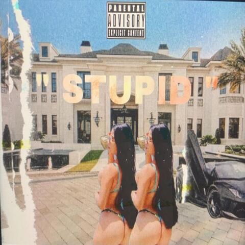 Stupid