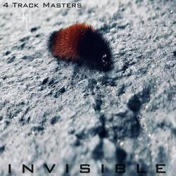 Invisible