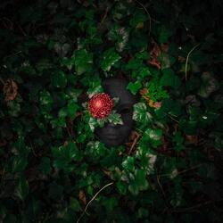Ouverture (feat. The Royalty Instrumentality Project)
