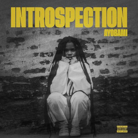 Introspection