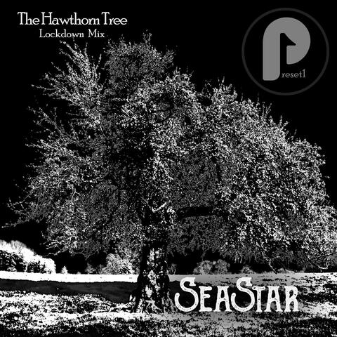 The Hawthorn Tree: Preset 1 (Lockdown Mix)
