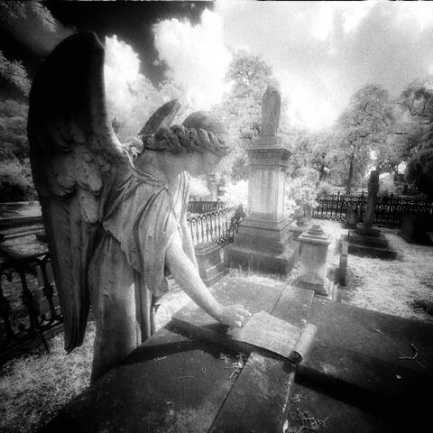 Votive