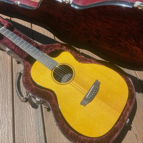 Sawmill Sunshine