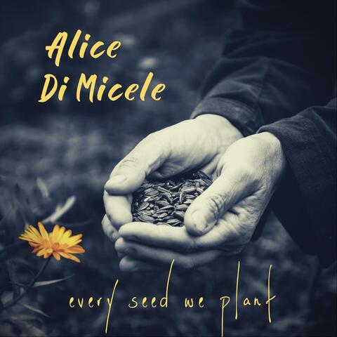 Every Seed We Plant