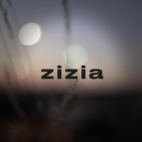 Zizia