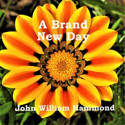 A Brand New Day