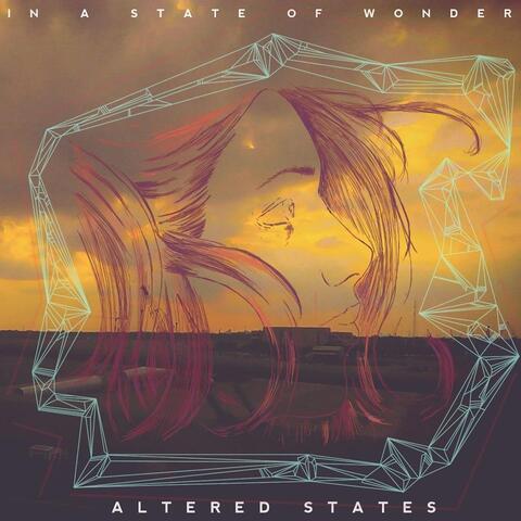 In a State of Wonder