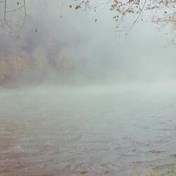 River, What Have You Seen?