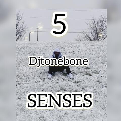5 Senses