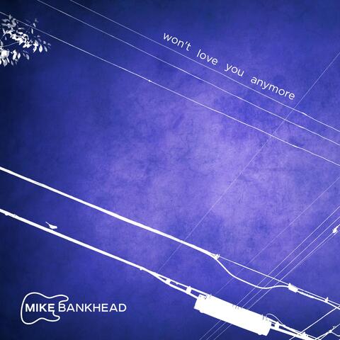 Won't Love You Anymore