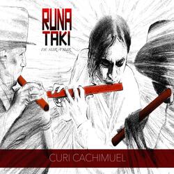 Shunku Tushuy
