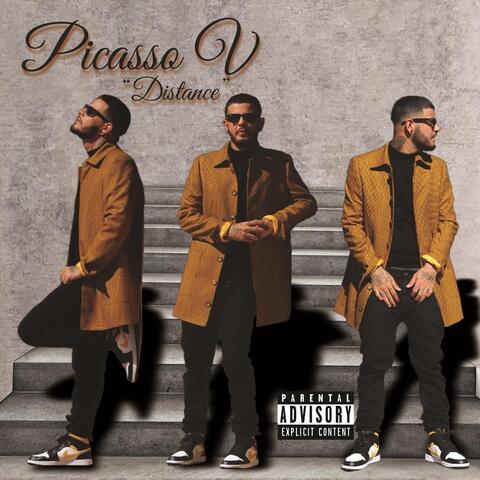 Picasso V
