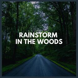 Rainstorm in the Woods, Pt. 02
