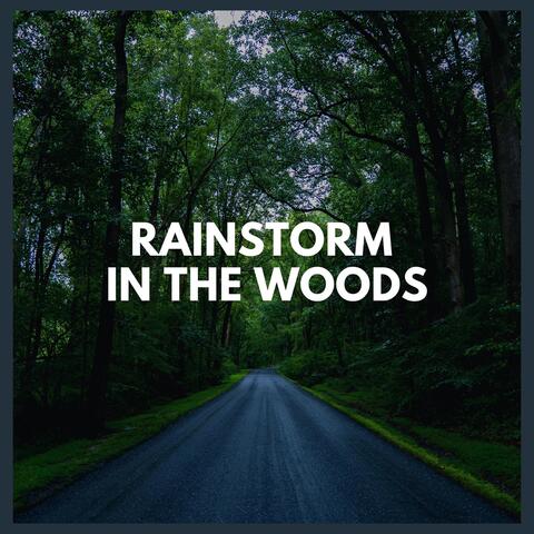 Rainstorm in the Woods