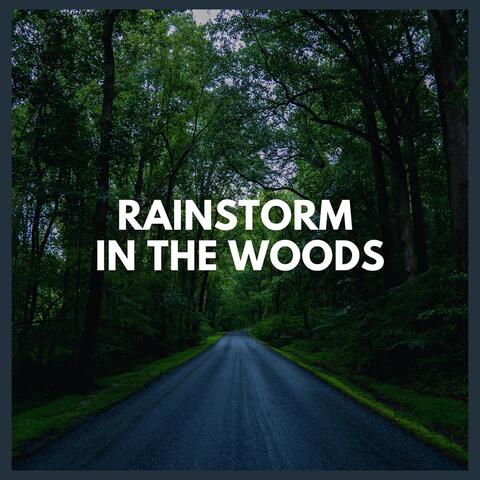 Rainstorm in the Woods