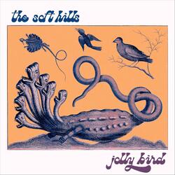Jolly Bird