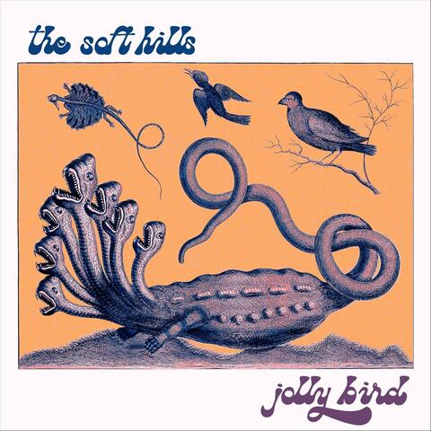 Jolly Bird