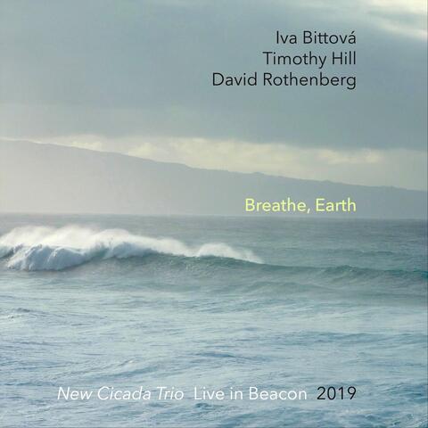 Breathe, Earth: New Cicada Trio Live in Beacon 2019