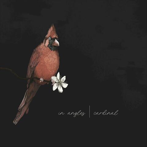 Cardinal