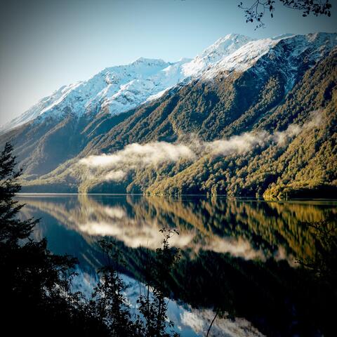Secret of Fiordland (feat. Andrew Synowiec)