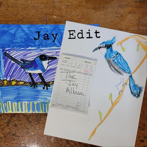 The Jay Album