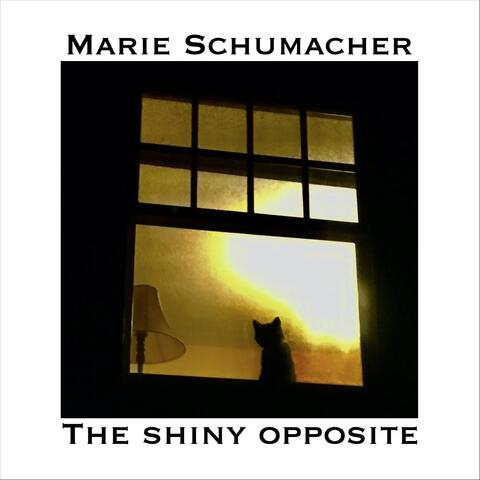 The Shiny Opposite
