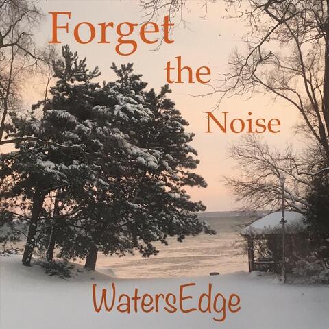 Forget the Noise