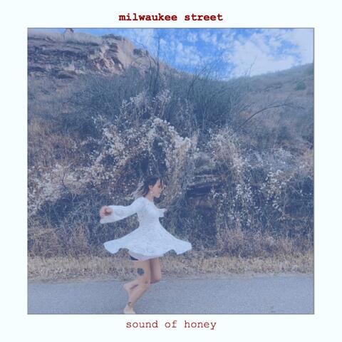 Milwaukee Street