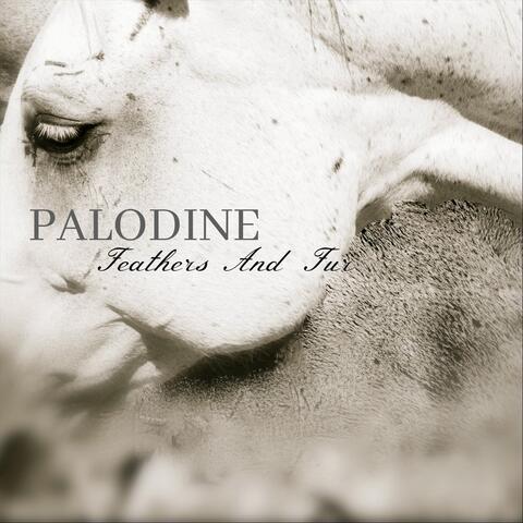 Palodine