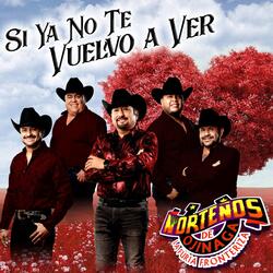 Si Ya No Te Vuelvo a Ver
