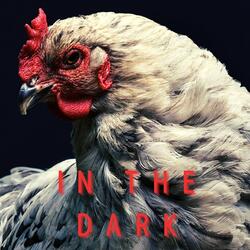 In the Dark