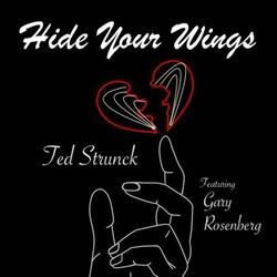 Hide Your Wings (feat. Gary Rosenberg)